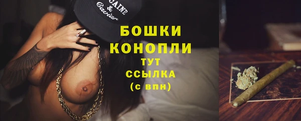 PSILOCYBIN Переславль-Залесский