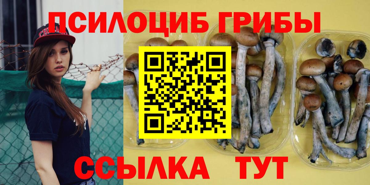 где можно купить наркотик  Псилоцибиновые грибы прущие грибы  Вход с VPN  Баксан 
