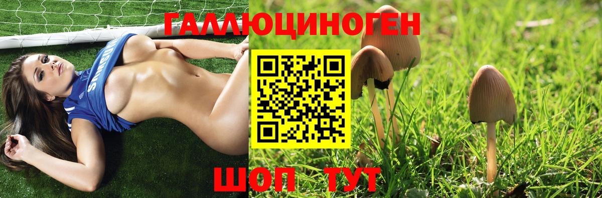 Галлюциногенные грибы Psilocybine cubensis Баксан