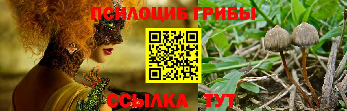 Галлюциногенные грибы GOLDEN TEACHER  Галлюциногенные грибы мицелий  Баксан 